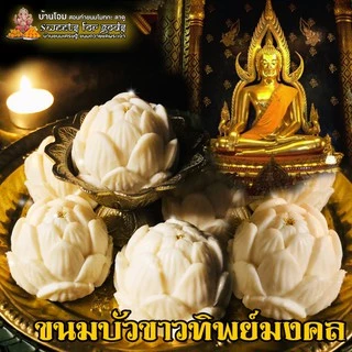 ขนมดอกบัวทิพย์มงคล ถวายพระ ถวายองค์มหาเทพ ถวายพญานาค ถวายเจ้าแม่กวมอิม ขนมบัวขาว ขนมบัวชมพู