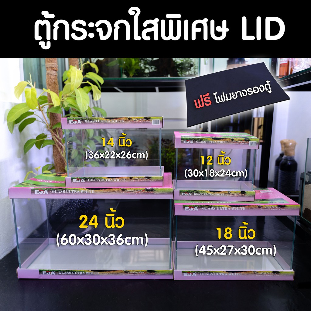 (พร้อมส่ง) ตู้ปลากระจกใสพิเศษ Glass Ultra White แบรนด์ EJA | Marangmod
