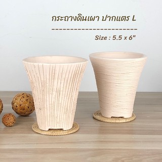 กระถาง กระถางปากแตร กระถางแคคตัส กระถางต้นไม้ ด่วน!! จำนวนจำกัด!!!!