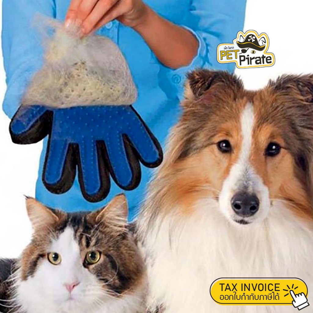 True Touch ถุงมือแปรงขน กำจัดขนสัตว์เลี้ยง ถุงมือแปรงเก็บขนหมาแมวง่ายๆ ก่อนฟุ้งเต็มบ้าน สินค้ามาพร้อมกล่อง ของแท้
