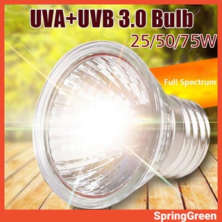 (SPRINGGREEN) โคมไฟทำความร้อน 25 / 50 / 75W 110 V E 27 UVA + UVB