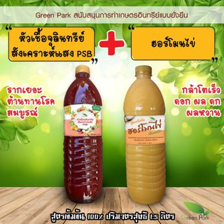 ชุด 2 ขวด ขนาด 1.5 ลิตร จุลินทรีย์สังเคราะห์แสง ฮอร์โมนไข่ ดินดี กล้าโตเร็ว แข็งแรง ต้านทานโรค ผลหวาน psb แช่เมล็ด งอกดี