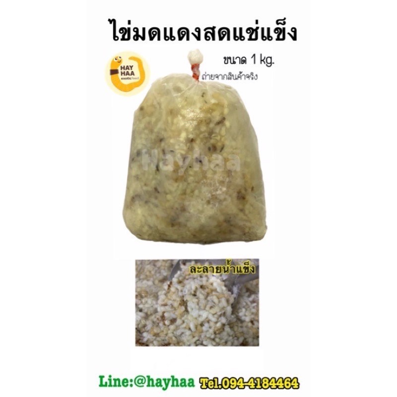 ไข่มดแดงสดแช่แข็งขนาด1kg.