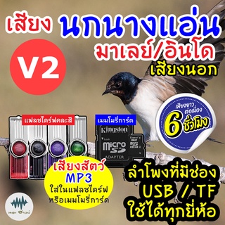 (MP3 เสียงต่อสัตว์) เสียงนกแอ่นอินโด-เสียงนอก V.2 [6ชั่วโมง] ใส่เมม/แฟลชไดร์ฟ มีเก็บเงินปลายทาง ชัดเข้าไว100% ไม่มีโฆษณา