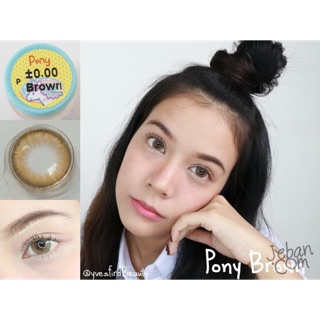 บิ๊กอาย Pony brown ปัง