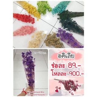 อคิเลียฟอกสี  ดอกไม้แห้ง PRP12