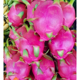 TOP-1แก้วมังกร นำเข้าจากเวียดนามแท้ DRAGON FRUIT (1ลูก) (นำเข้า Vietnam) ~ลดพิเศษ~ ผลไม้ต่างประเทศ ผลไม้สด สดใหม่ แคลอรี