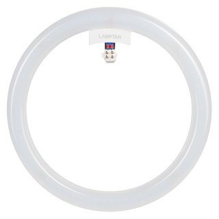 หลอด LED LAMTAN Module Circular 33 วัตต์ DAYLIGHT หลอดไฟภายในบ้านเอนกประสงค์