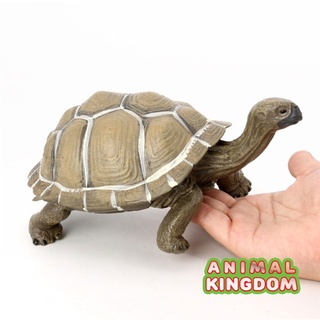 Animal Kingdom - โมเดลสัตว์ เต่ายักษ์ กาลาปาโกส เขียว ขนาด 21.00 CM (จากสงขลา)