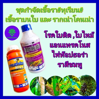 ชุด กำจัดเชื้อราทุเรียน ยาเชื้อรา ทุเรียน แกรนด์ฟอส 1ลิตร +เฮกซะโคนาโซล 1ลิตร โรคใบติด ใบไหม้ รากเน่าโคนเน่า ไฟท๊อปธอร่า