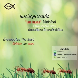 (ของแท้) น้ำยาสมุนไพรไล่แมลง The Best (1000ml) ไล่มด ไล่แมลงสาบและแมลงทุกชนิด