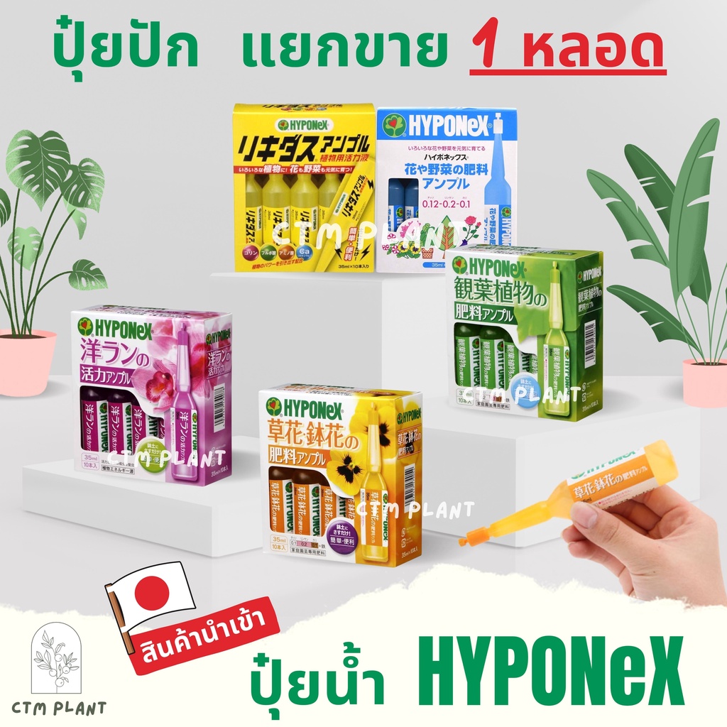 Hyponex ปุ๋ยปัก (Hyponex Ampoule) แยกขาย 1 หลอด ปุ๋ยน้ำจากประเทศญี่ปุ่น  ปุ๋ยปักญี่ปุ่น