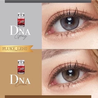 คอนแทคเลนส์เกาหลี 🇰🇷 🕊 Dna brown gray 🕊 (ขนาดโตกลาง) ใส่กลางวันได้ สีไม่ดุ lovelyplus