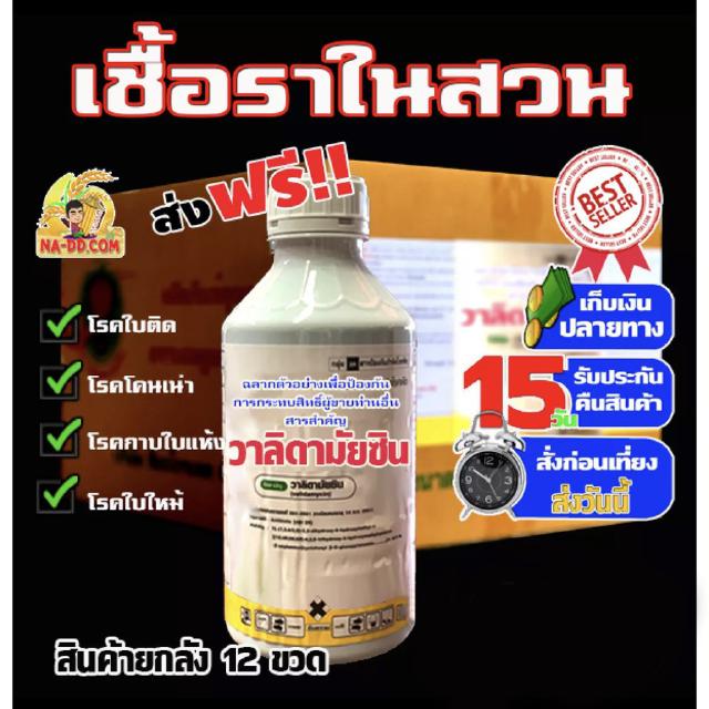 🔥✅ร้านนี้ส่งฟรี✅🔥วาลิดามัยซิน3% ยกลัง 12 ขวด สารกำจัดเชื้อราเชื้อราเร่งด่วน ใน1-2วัน กำจัดโรคใบไหม้ของข้าว กาบใบแห้ง โรค