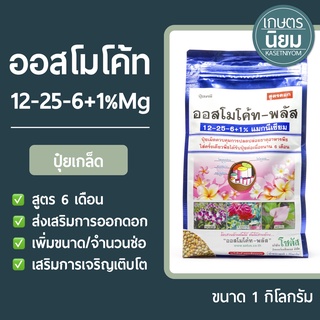 ปุ๋ยเกล็ด ออสโมโค้ท พลัส (ปุ๋ยเคมีสูตร 12-25-6+1%Mg) 1 กิโลกรัม