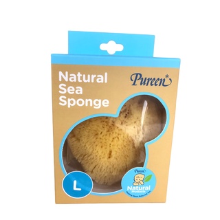 Pureen ฟองน้ำธรรมชาติ Natural Sea Sponge  ไซส์ใหญ่ L กล่องสีน้ำตาล