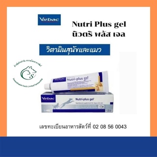 Nutri Plus gel นิวตริ พลัส เจล  ผลิตภัณฑ์อาหารเสริมวิตามินสำหรับสุนัขและแมว 120.5 กรัม. EXP. 30/04/24