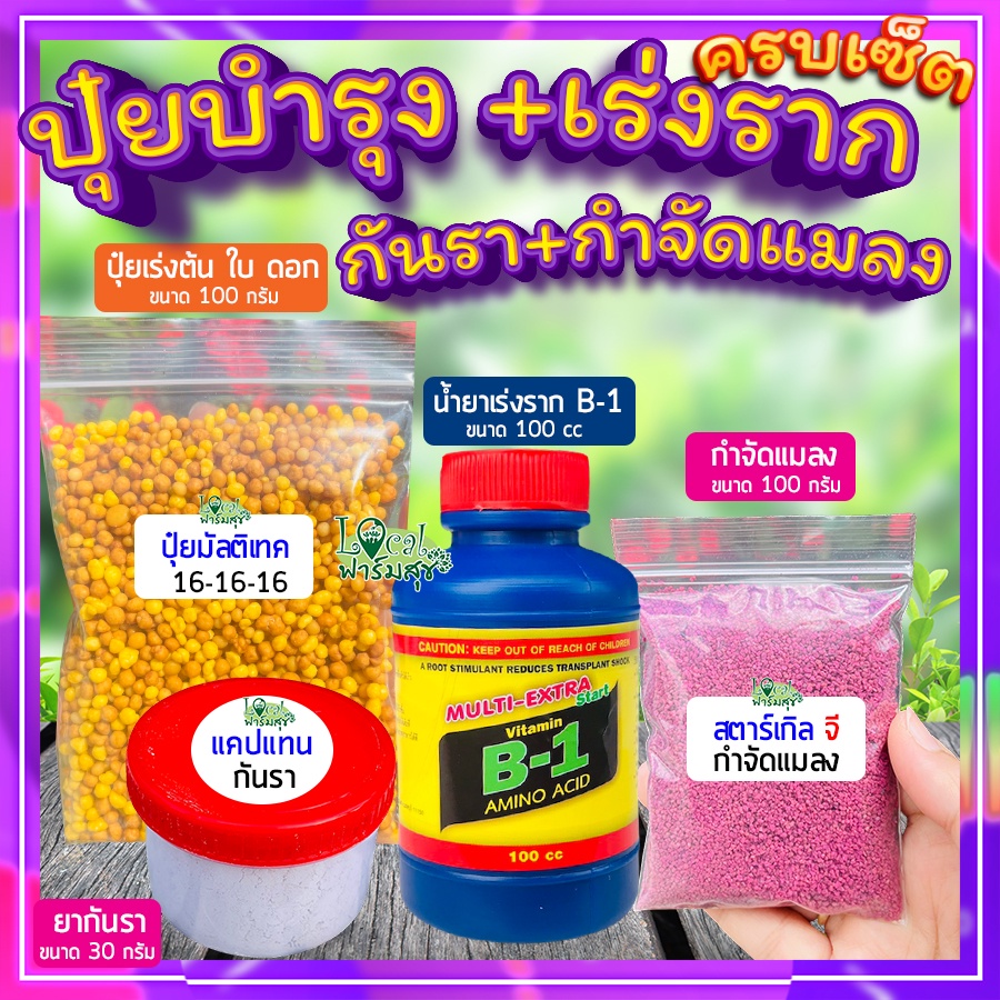 เซ็ตปุ๋ยบำรุง+เร่งราก+กันรา+กันแมลง ปุ๋ยเร่งโต เร่งราก ป้องกันเชื้อราและโรคเน่า กันแมลง ปุ๋ยแคคตัส ปุ๋ยบอนสี ปุ๋ยกุหลาบ