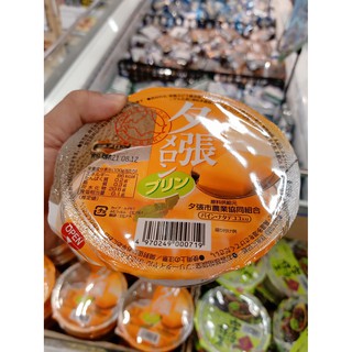 ecook ญี่ปุ่น ขนม เยลลี่ พุดดิ้ง เมล่อน ยูบาริ hisupa dk okazakii bussan hokkaido yubari melon pudding dessert 300g