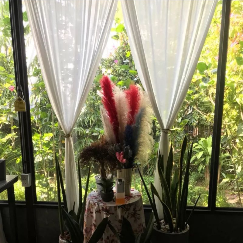 อุปกรณ์ ตกแต่งบ้าน แถมลวดผ้าม่าน ผ้าม่านสไตล์มินิมอล ผ้าม่านตกแต่งร้านกาแฟ โปร่งแสง แบคดรอปไลฟ์สด กว้าง1.50เมตร มีหลายขนาด ราคาถูก