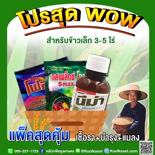 ชุดกำจัดแมลง บำรุง เชื้อราช่วงข้าวเล็ก3-5ไร่ ป้องกันกำจัดเพลี้ยกระโดดเพลี้ยไฟ ข้าวกาบใบแห้ง ข้าวใบด่าง แตกกอ คูลเกษตร