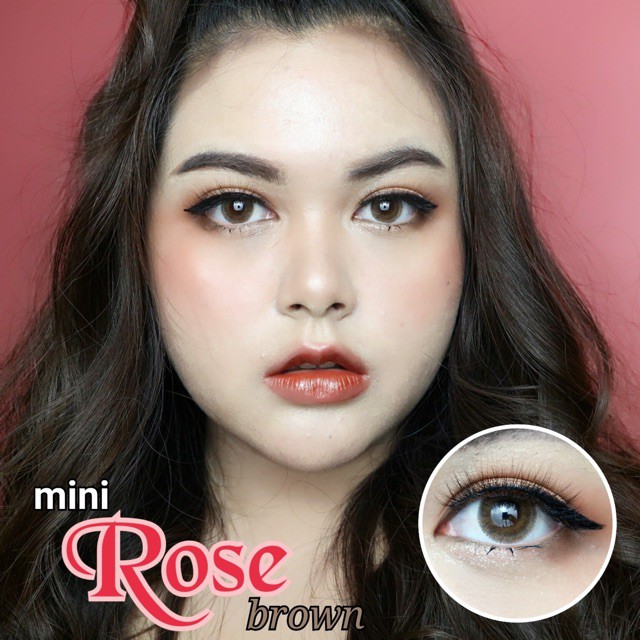 คอนแทคเลนส์ Mini Rose  Brown / Gray (Kitty Kawaii) ขนาดมินิ ราคา ถูกที่สุด ดีลบีเคเค แกลเลอรีภาพที่ 6