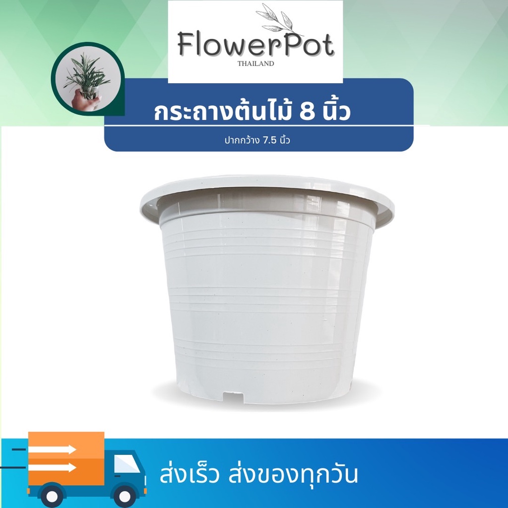 [10ใบ][50ใบ] กระถางขาว 6 นิ้ว กระถางต้นไม้ สีขาว
