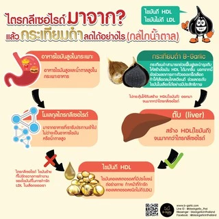 กระเทียมดำ B-Garlic พร้อมรับประทาน❗️ | B Garlic บีกาลิค กระเทียมอบ Black Garlic