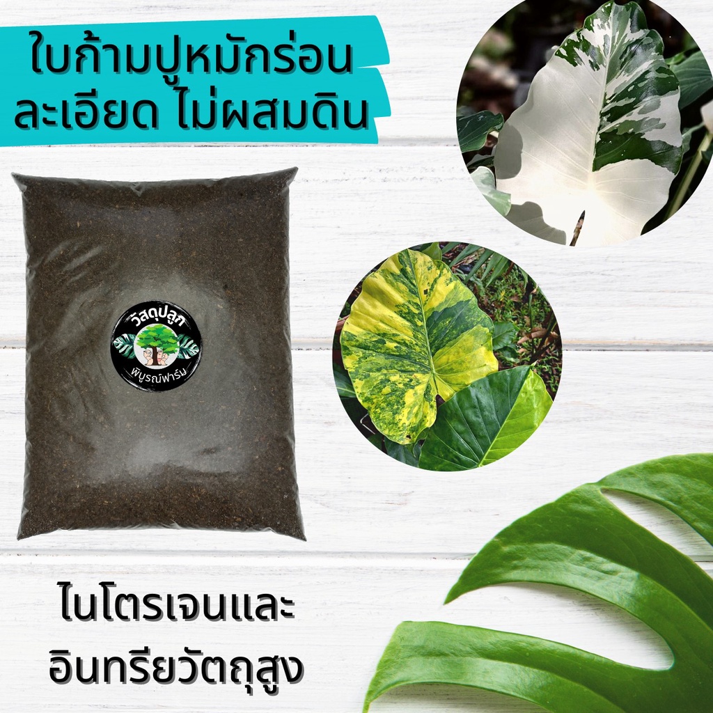 ใบก้ามปูหมัก ร่อนละเอียด ใบก้ามปูแท้ 100%