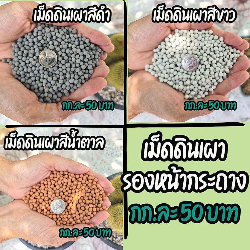 วัสดุปลูกต่างๆ 1 กก.