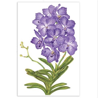 พร้อมส่ง สติ๊กเกอร์ลอกน้ำ DIY LIVING STYLE ORCHID 34X47 ซม. แต่งผนัง sticker