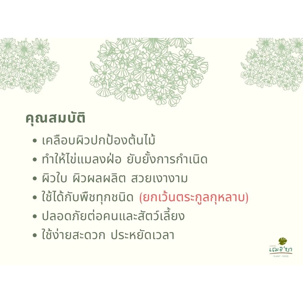 [ ส่งฟรี 🔥 ] เฌอบา อาหารเสริมต้นไม้ เคลือบผิวใบ Wax ด้วยวิตามิน E สเปรย์บำรุงใบ สเปรย์บำรุงต้นไม้ อาหารพืช 450 ML thumbnail 7