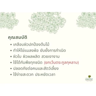 [ ส่งฟรี 🔥 ] เฌอบา อาหารเสริมต้นไม้ เคลือบผิวใบ Wax ด้วยวิตามิน E สเปรย์บำรุงใบ สเปรย์บำรุงต้นไม้ อาหารพืช 450 ML