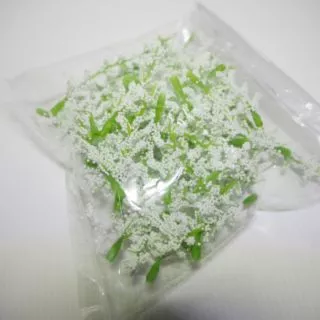 ดอกแซม ดอกข้าวฟ่าง (หัวดอก)​
