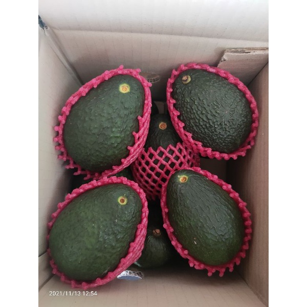อะโวคาโดสายพันธุ์ แฮส แท้สุดคุ้มลูกละ 43 บาทขั้นต่ำ 3 ลูกค่ะ
