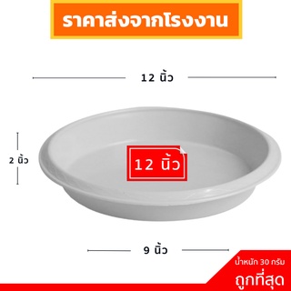 จานรอง
 ถาดรองกระถางต้นไม้ จานรองกระถางต้นไม้
 สีขาว 12 นิ้ว