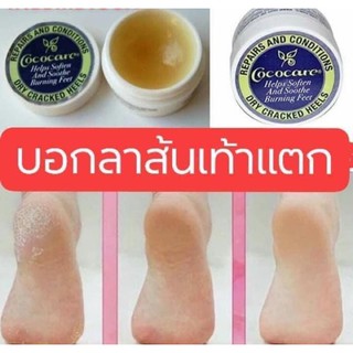 ปลีก / ส่ง Cococare Repairs and Conditions Dry Cracked Heels