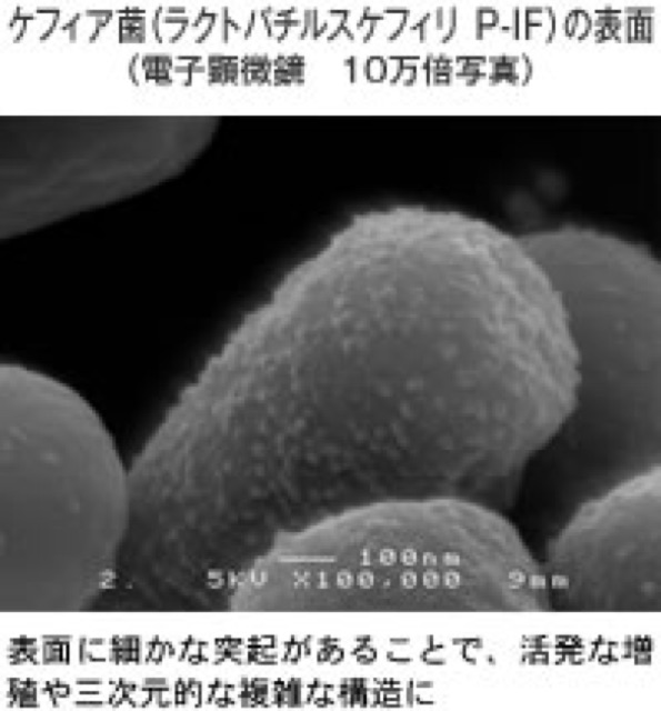 [ส่งไวทันใจ] New DHC Kefir บัวหิมะ (30วัน) รุ่นใหม่ อุดมด้วยคุณค่าประโยชน์สูงสุดจากน้ำนมชั้นดี+บัวหิมะชั้นเลิศ ขายดีมากๆ - รูปที่ 3