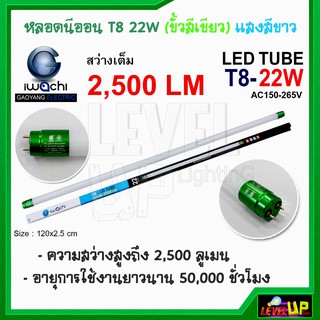 หลอดไฟ LED หลอดไฟนีออน LED T8 22W (ขั้วสีเขียว) หลอดไฟแบบยาว แสงสีขาว (DAYLIGHT)-