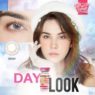 Daylook Gray