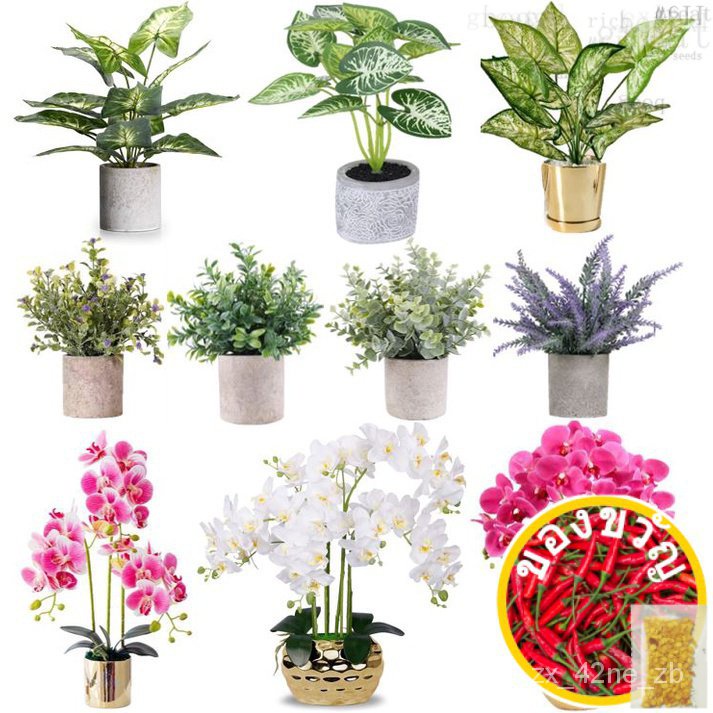 [SG SELLER]Artificial Plant Fake Plant Faux Plant Small Potted Artificial Table Plants Artificial Orchid Home Decoration