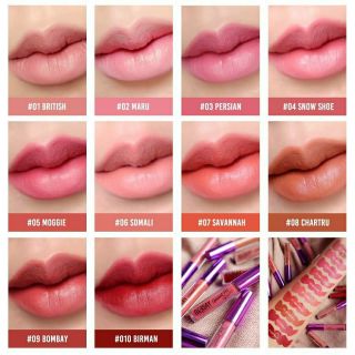 Deesay Velvet Fit Matte Lip ดีเซย์ ลิปจิ้มจุ่ม เนื้อกำมะหยี่ แมทแต่ไม่แห้งตึง 1.2g.