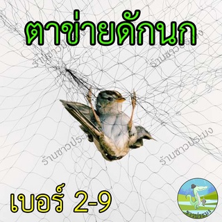 ตาข่ายดักนก ขนาดตา 2-9 เซน สูง 2.5-3 เมตร ยาว 9-14 เมตร อวนดักนก ดางดักนก ตาข่ายดักค้างคาว ตาข่ายจับนก พิราบ