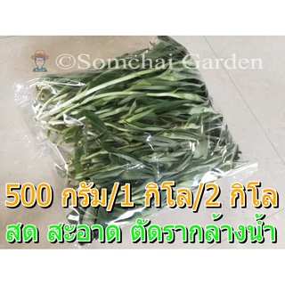 หญ้าปักกิ่งสด 250/500 กรัม เกษตรอินทรีย์ (แบบตัดราก/ล้างน้ำ)