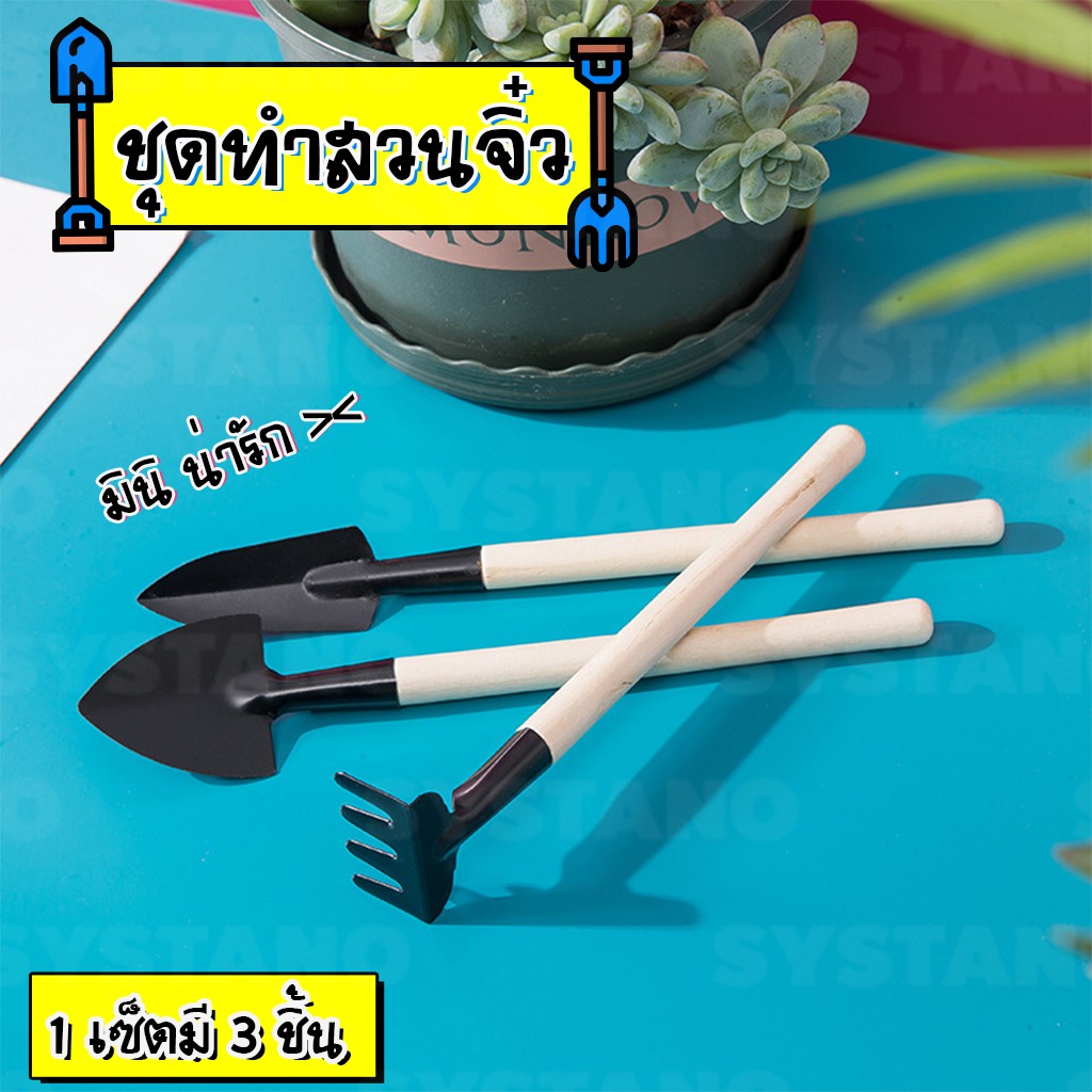 My Image 6