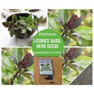 ผู้ผลิตเมล็ดพันธุ์/Licorice basil heirloom seedsCabbageesculentumZinniaManilaMixPurityCosmosRos/เมล็ด ซอง งอก การ WK3T