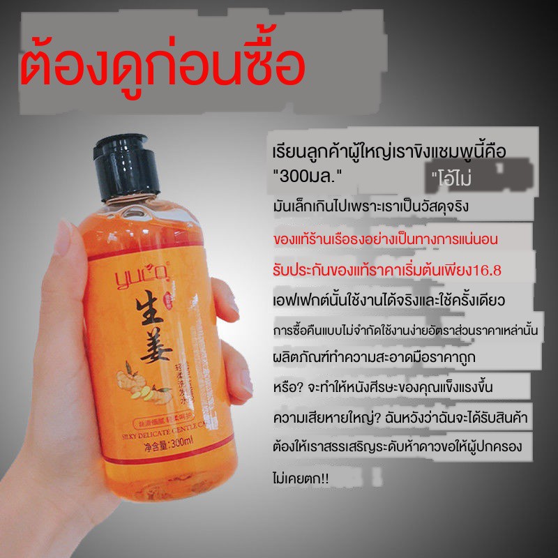 แชมพูGinger Shampoo Anti-Hair Loss Hair Growth Conditioner Set Oil ...