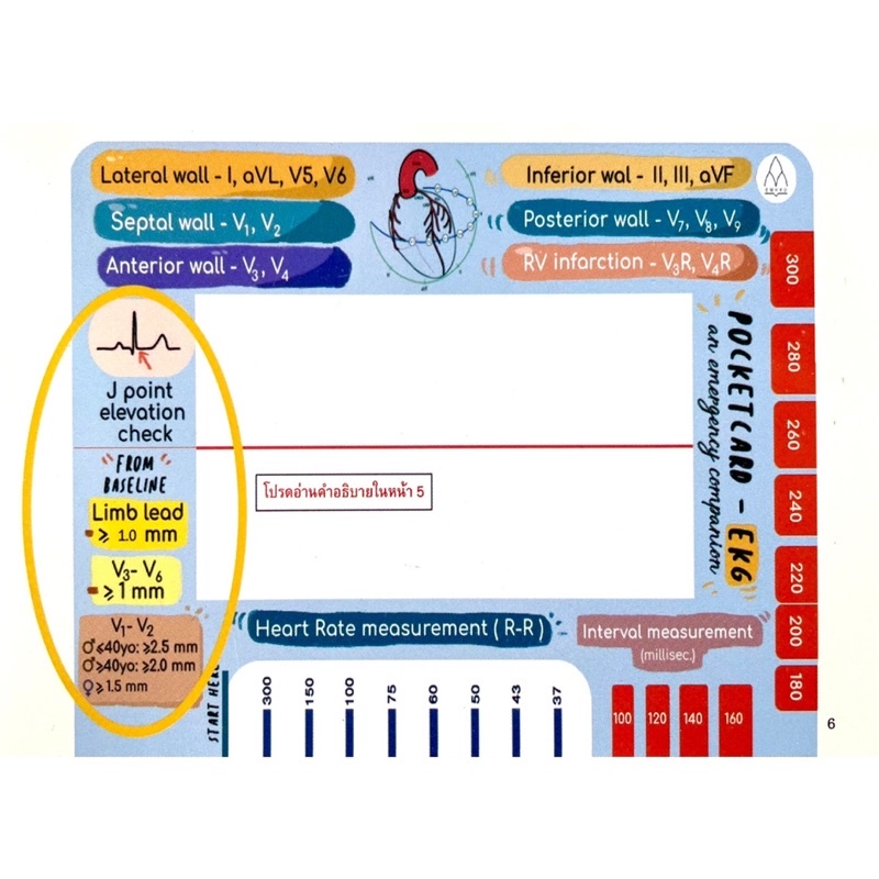 [การ์ด] A Little Card of Ezy EKG คลื่นไฟฟ้าหัวใจ ครอบครัวตัวคลื่น หนังสือ plearn ecg electrocardiography book TB