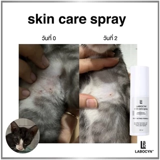Labocyn Skin Care Spray 500ml สเปรย์ดูแลผิวหนังสำหรับสัตว์เลี้ยงขนาด 500มล (ผิวหนังขวดใหญ่)