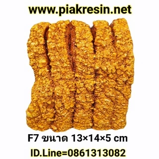 โมเดล รวมแบบ หมูกรอบF1 - F7 รวม 7 แบบ เนื้อเรซิ่น หมูกรอบเรซิ่น โมเดลหมูกรอบ ข้าวหมูกรอบ